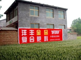 徐州如何让墙体广告展现最大化效果