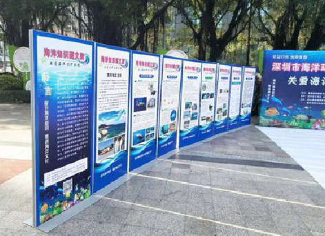 徐州KT板的种类和知识。